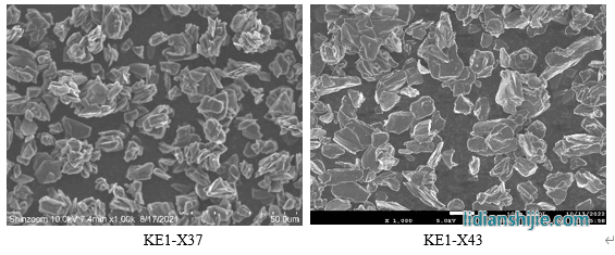 中科星城动力类石墨负极材料PQ1系列SEM